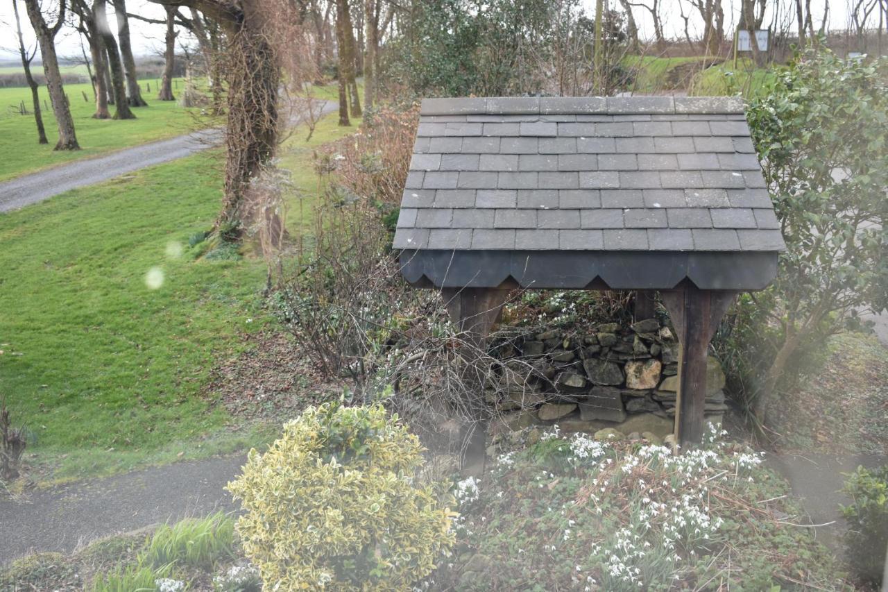 Crug Glas * St. Davids (Pembrokeshire)