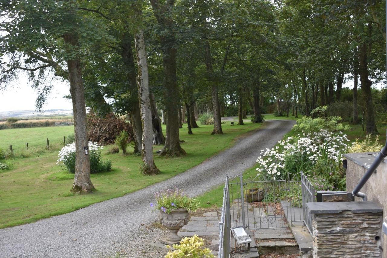 Country house Crug Glas St. Davids (Pembrokeshire)